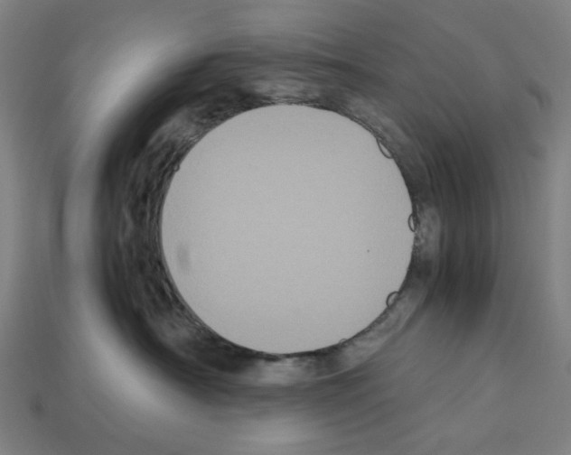 X0000112530430200909281042