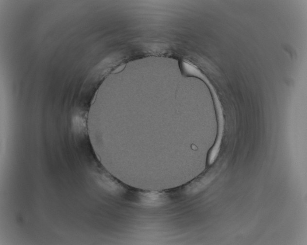 X0000112530432200909281042