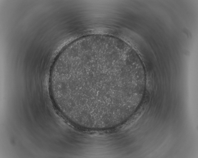 X0000112530434200909281042