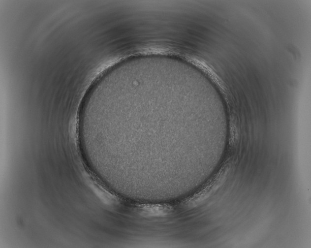 X0000112530439200909281042