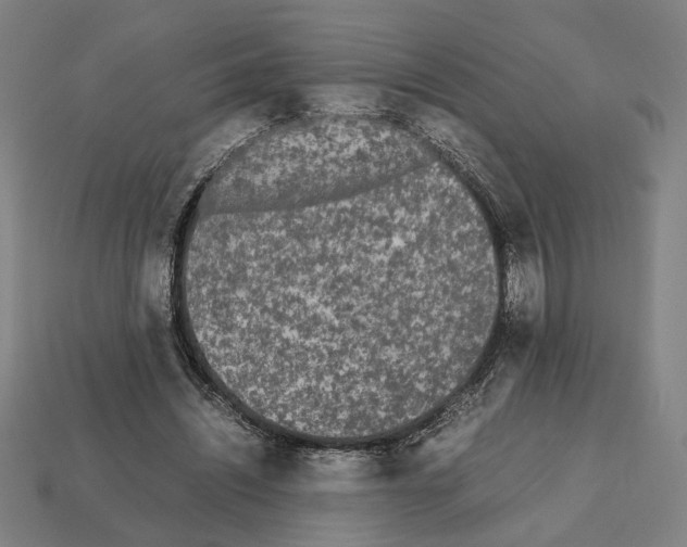 X0000112530444200909281042