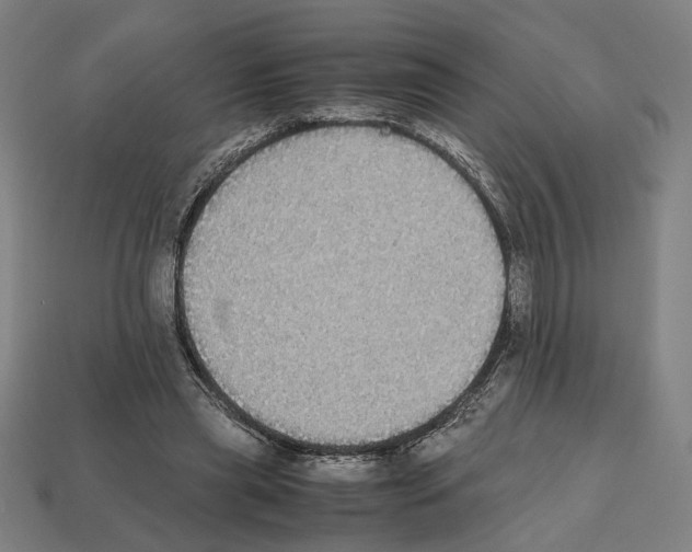 X0000112530445200909281042