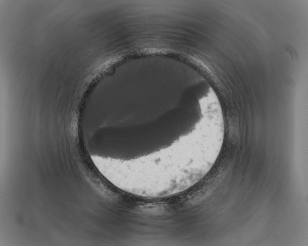 X0000112530447200909281042