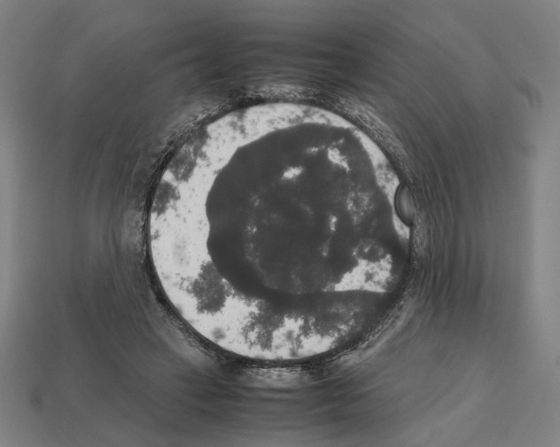 X0000112530449200909281042