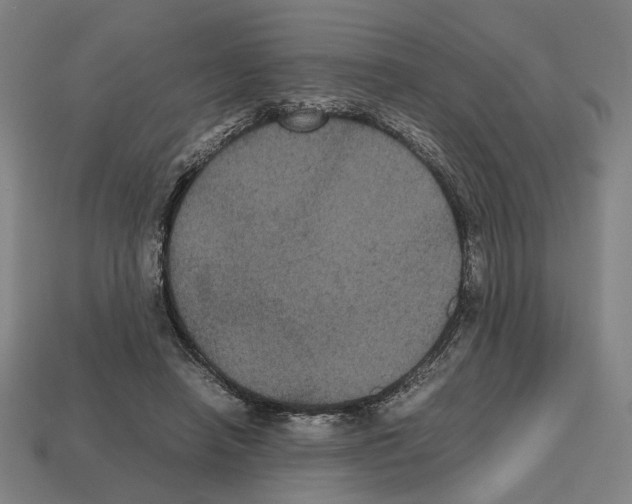 X0000112530450200909281042