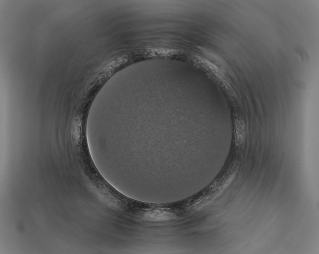 X0000112530451200909281042