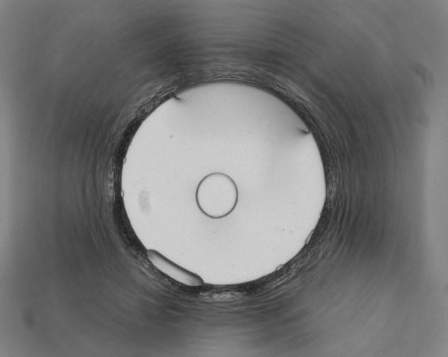 X0000112530452200909281042