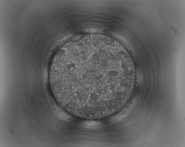 X0000112530453200909281042