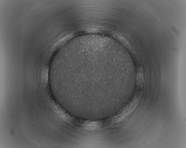 X0000112530454200909281042