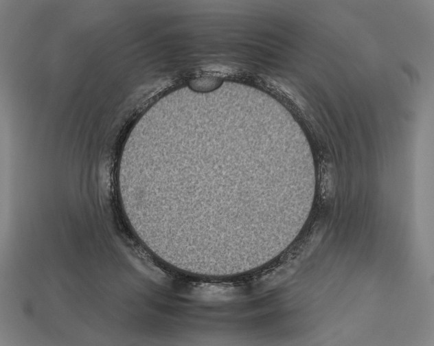 X0000112530455200909281042