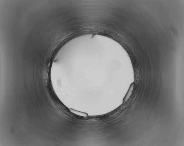 X0000112530456200909281042