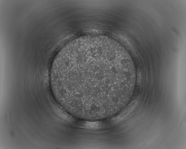 X0000112530457200909281042