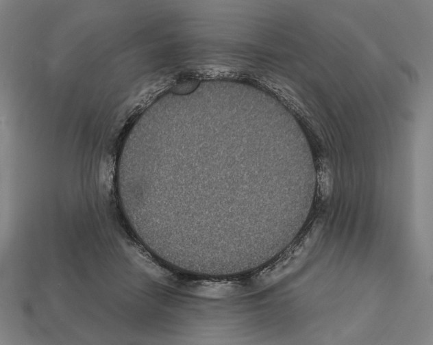 X0000112530458200909281042