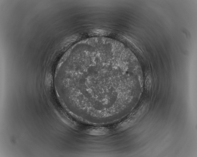 X0000112530459200909281042