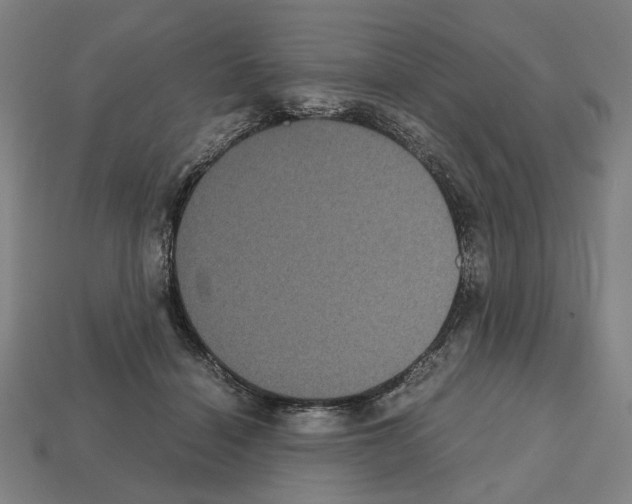 X0000112530460200909281042