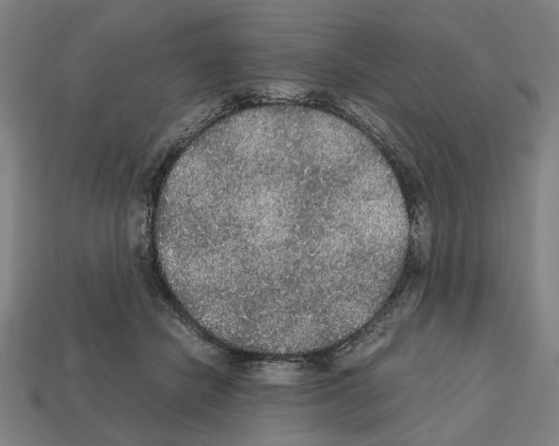 X0000112530462200909281042