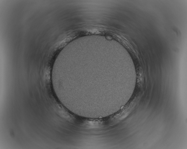 X0000112530466200909281042