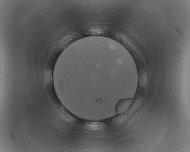 X0000112530467200909281042