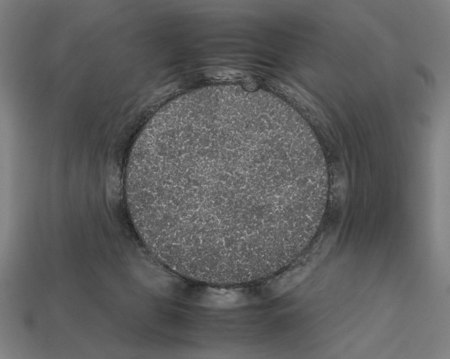 X0000112530469200909281042