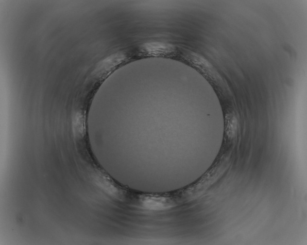 X0000112530471200909281042