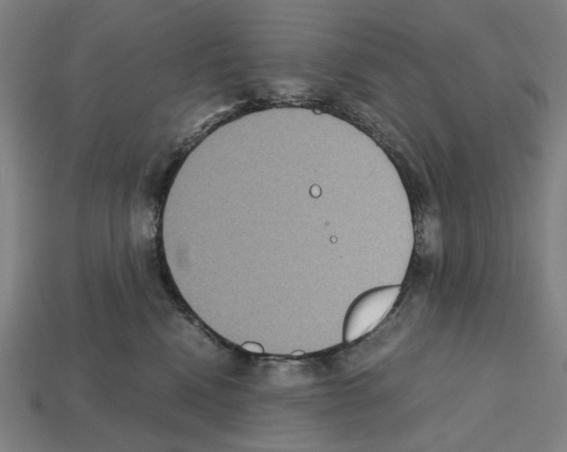 X0000112530472200909281042