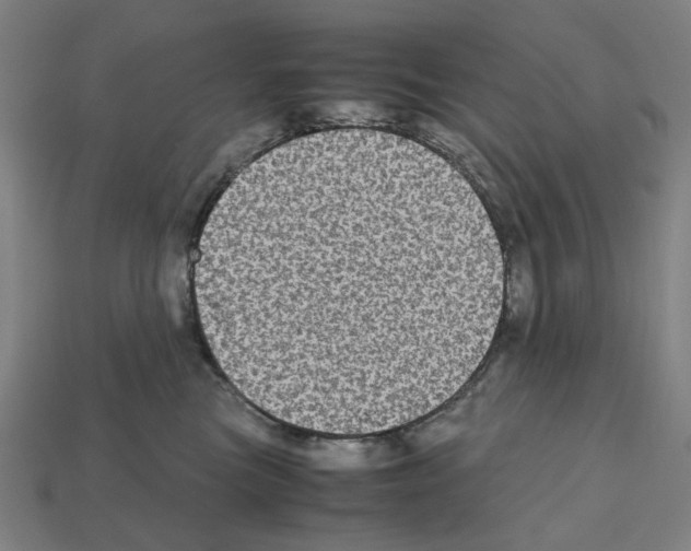 X0000112530473200909281042