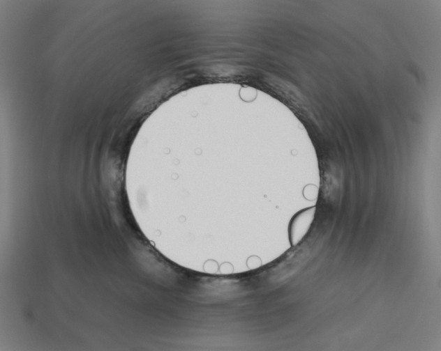 X0000112530476200909281042