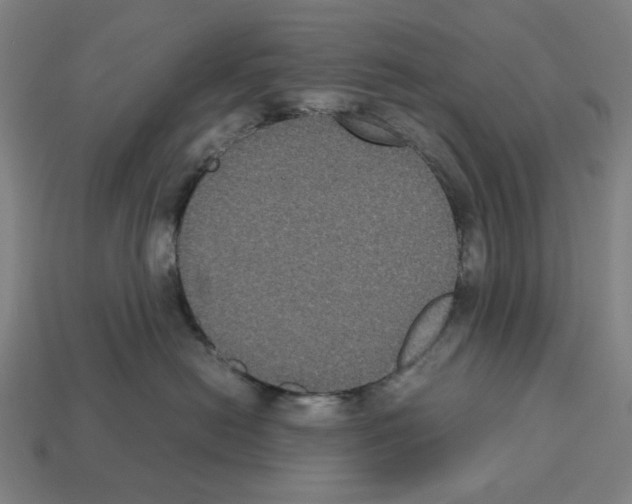 X0000112530478200909281042