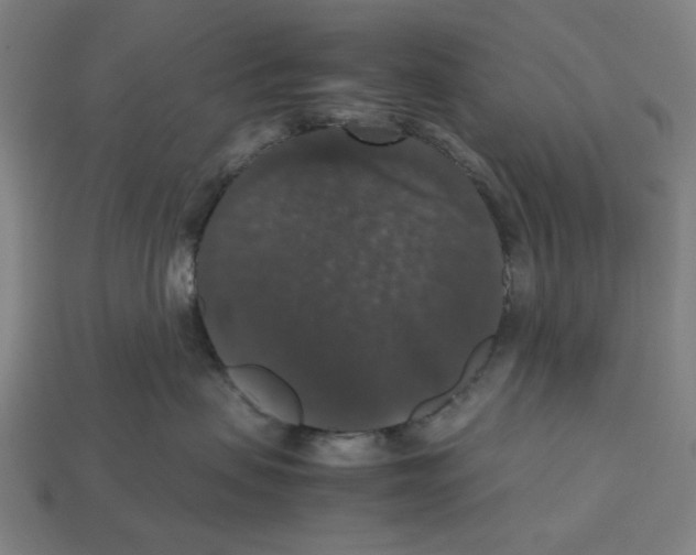 X0000112530479200909281042