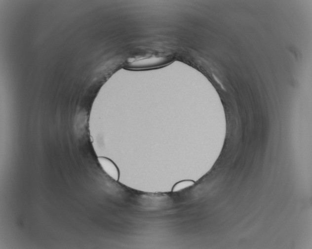 X0000112530480200909281042