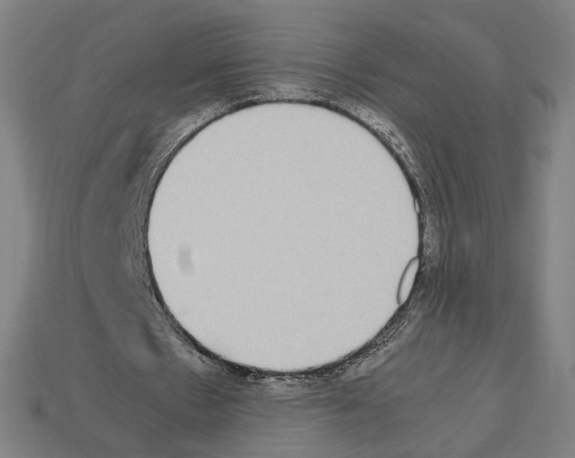 X0000112530481200909281042