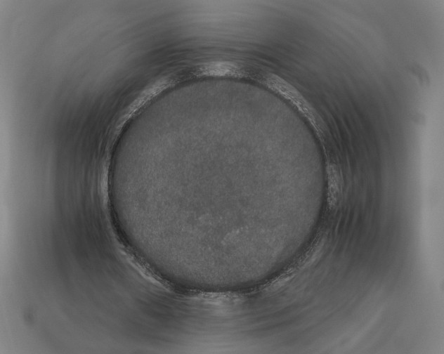 X0000112530482200909281042