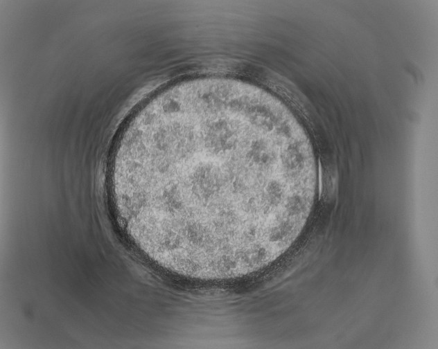 X0000112530483200909281042