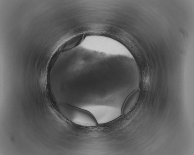 X0000112530484200909281041