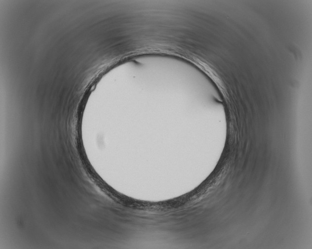 X0000112530485200909281041