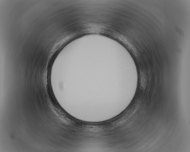 X0000112530486200909281041