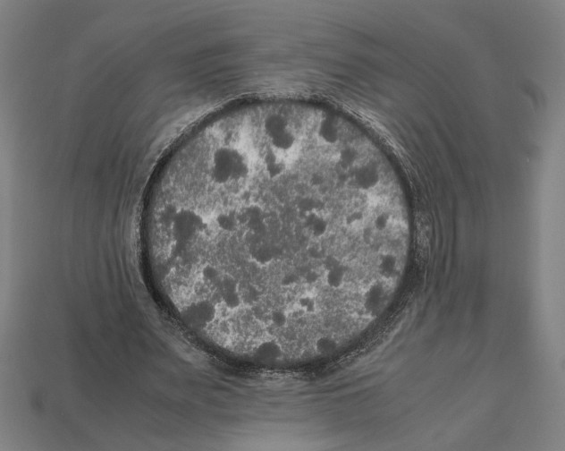 X0000112530487200909281041