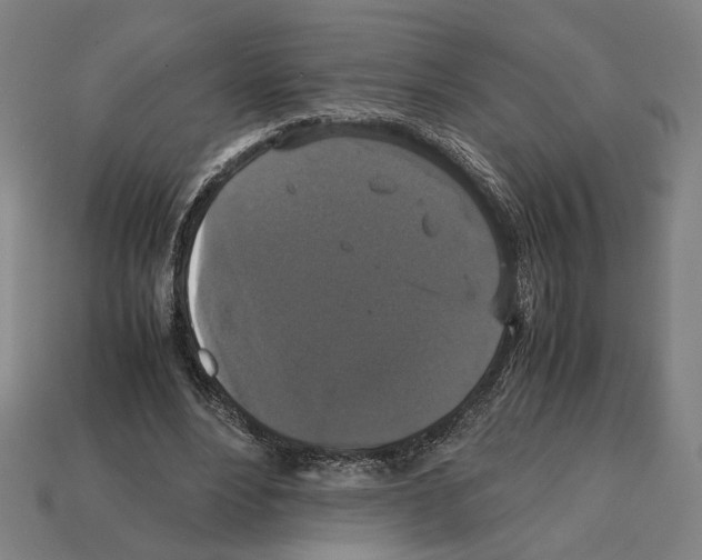 X0000112530488200909281041