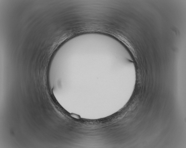 X0000112530489200909281041