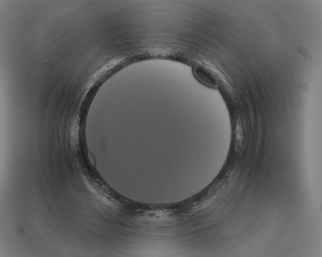 X0000112530492200909281041