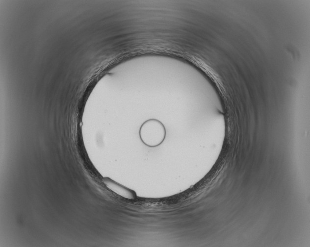 X0000112530493200909281041