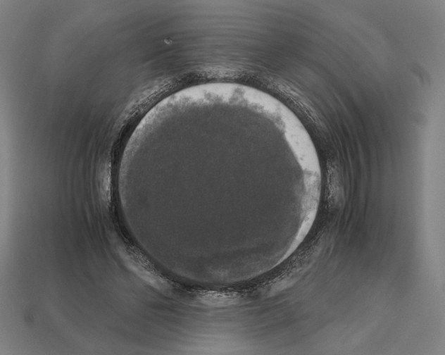 X0000112530494200909281041