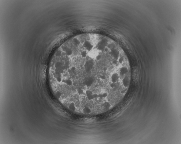 X0000112530495200909281041