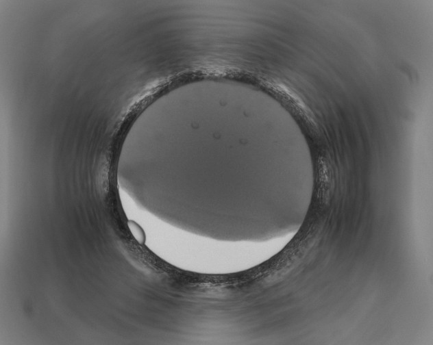 X0000112530496200909281041