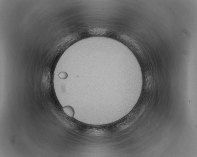 X0000112530498200909281041