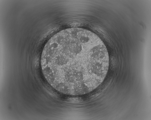 X0000112530499200909281041