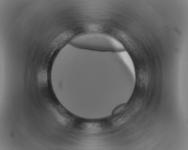 X0000112530500200909281041