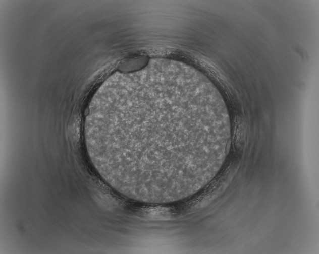 X0000112530501200909281041