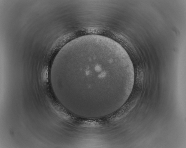 X0000112530502200909281041