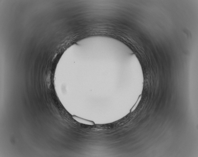 X0000112530504200909281041